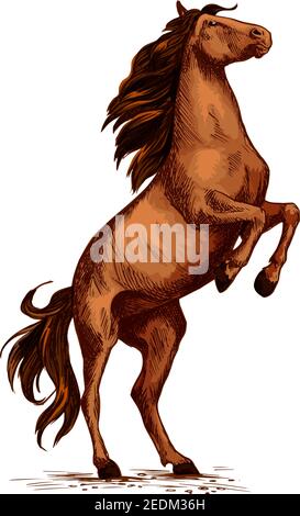Élevage de chevaux ou d'étalon sauvage. Trotter mustang brun arabe sur les rames. Symbole vectoriel pour les courses ou les courses sportives équines. Cheval de course mustang ou course pour Illustration de Vecteur