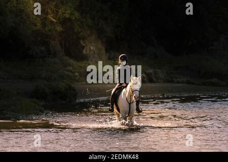 Un cavalier seul portant un masque contre Covid-19 qui longe la rivière Gannel en plein soleil à Newquay, dans les Cornouailles. Banque D'Images