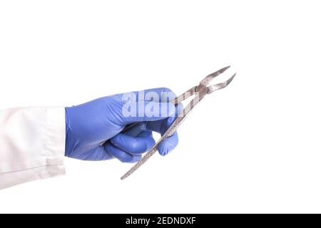 Le médecin dentiste tient dans sa main des forceps pour tirer les dents sur un fond blanc, isoler. Dentisterie extraction de dent concept, procédure Banque D'Images
