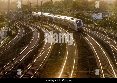 07.09.2020, Essen, Rhénanie-du-Nord-Westphalie, Allemagne - voies ferrées en contre-jour du soleil du soir, train RRX à Hamm. 00X200907D220CAROEX.JPG [ Banque D'Images