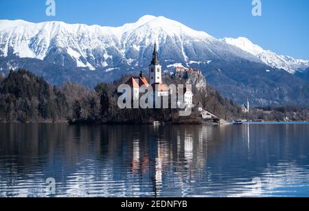 Bled, Slovénie. 15 février 2021. L'église de l'Assomption de la Vierge Marie sur l'île de Blejski Otok dans le lac Bled au pied du plateau de Pokljuka. Le château de Bled est visible en arrière-plan. Pokljuka sera l'hôte des Championnats du monde de biathlon du 10-21 février 2021. Credit: Sven Hoppe/dpa/Alay Live News Banque D'Images