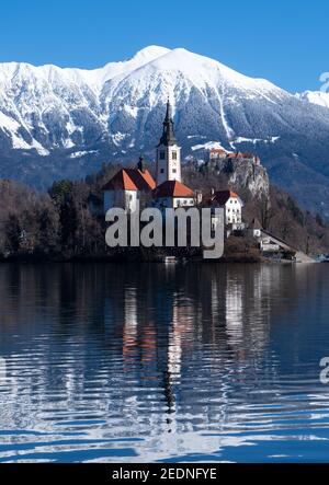 Bled, Slovénie. 15 février 2021. L'église de l'Assomption de la Vierge Marie sur l'île de Blejski Otok dans le lac Bled au pied du plateau de Pokljuka. Le château de Bled est visible en arrière-plan. Pokljuka sera l'hôte des Championnats du monde de biathlon du 10-21 février 2021. Credit: Sven Hoppe/dpa/Alay Live News Banque D'Images