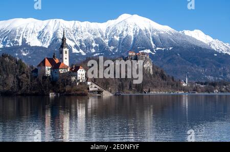 Bled, Slovénie. 15 février 2021. L'église de l'Assomption de la Vierge Marie sur l'île de Blejski Otok dans le lac Bled au pied du plateau de Pokljuka. Le château de Bled est visible en arrière-plan. Pokljuka sera l'hôte des Championnats du monde de biathlon du 10-21 février 2021. Credit: Sven Hoppe/dpa/Alay Live News Banque D'Images