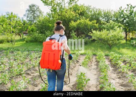 Agriculteur femme pulvérisant des plants de pommes de terre dans un jardin potager Banque D'Images