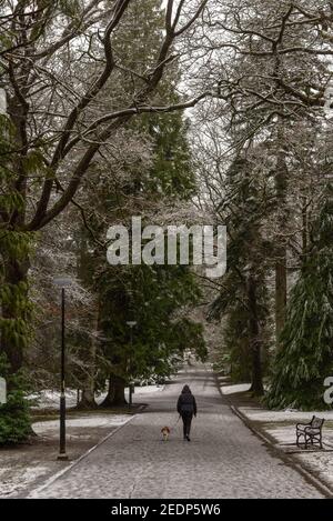 Marcheur pour chiens dans la neige d'hiver Balloch Park Scotland Royaume-Uni Banque D'Images