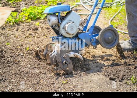 Motoculteurs cultivateur pour le travail du sol. Jardinage. Mise au point sélective Banque D'Images