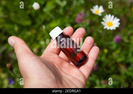 Une petite bouteille avec un extrait naturel dans votre main. Préparation médicinale à base d'herbes - concept Banque D'Images