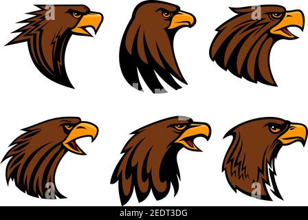 Mascotte vectorielle Eagle ou Hawk pour badge d'équipe sportive. Symbole de tête d'oiseau de faucon prédateur avec bec ouvert. Icônes isolées héraldiques pour l'armée ou militar Illustration de Vecteur