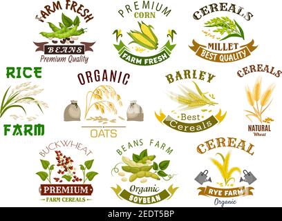 Icônes de produits céréaliers. Symboles vectoriels de sac de farine de blé, épis et grains de seigle, graines de sarrasin et millet d'avoine ou d'orge et feuilles de riz. Isolé agricul Illustration de Vecteur