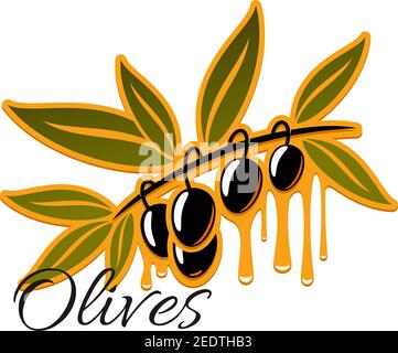 Branche d'olive avec olives mûres noires. Bouquet de fruits d'olivier isolés de vecteur pour l'ingrédient de vinaigrette, le produit d'assaisonnement ou l'étiquette de bouteille Illustration de Vecteur