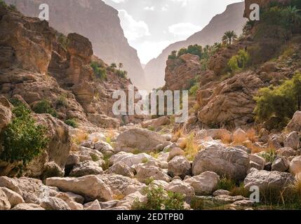 Gorge de Wadi Tiwi en Oman. Belle nature dans la vallée sauvage du désert avec palmiers et rochers escarpés. Banque D'Images