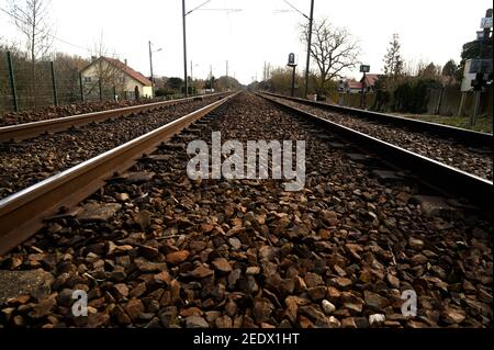 Chemin de fer entre arbres verts menant à l'horizon Banque D'Images