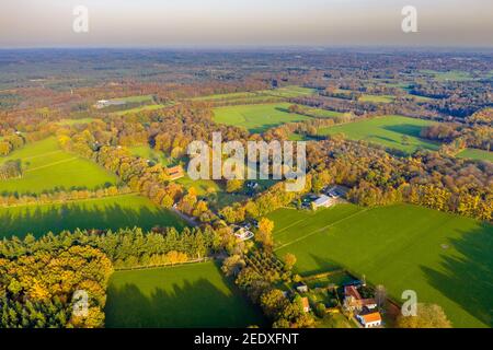 Ancienne enclave agricole clairière des prés dans l'immense forêt de la région de Veluwe, province de Gelderland, pays-Bas. Paysage dans la nature Banque D'Images