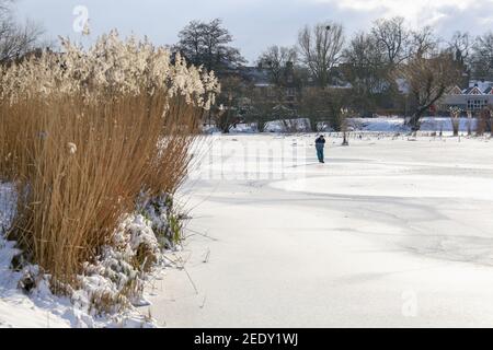 ZUTPHEN, PAYS-BAS - 10 févr. 2021: Patineuse de glace de loisir solitaire sur le lac naturel gelé l'après-midi ensoleillé froid Banque D'Images