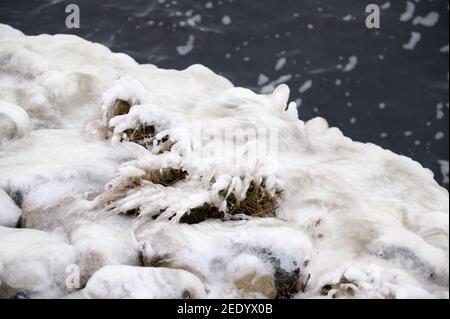 Wilhelmshaven, Allemagne. 10 février 2021. Pulvérisation congelée sur les herbes et les pierres sur la rive du port intérieur. Credit: Jonas Walzberg/dpa/Alay Live News Banque D'Images