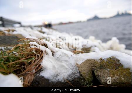 Wilhelmshaven, Allemagne. 10 février 2021. Pulvérisation congelée sur les herbes et les pierres sur la rive du port intérieur. Credit: Jonas Walzberg/dpa/Alay Live News Banque D'Images