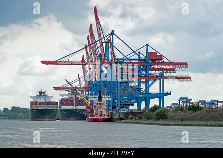 Hambourg/Allemagne - 2019/09/08: Navires de fret situés dans le terminal à conteneurs Altenwerder au port de Hambourg, Allemagne Banque D'Images