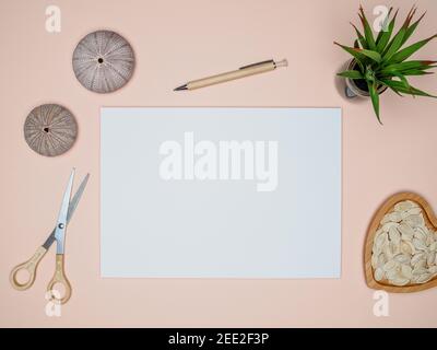 Maquette de carte blanche avec ciseaux, stylo, succulent, coquillages d'oursin de mer et graines de citrouille séchées sur fond de couleur corail. Concept d'espace de travail, vue de dessus Banque D'Images