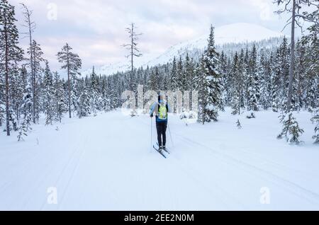 Skieur dans un paysage enneigé de la Laponie finlandaise Banque D'Images