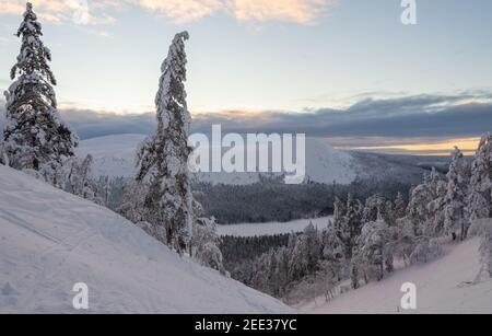 Forêt enneigée et coquillages en Laponie finlandaise Banque D'Images