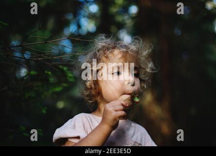Portrait d'une petite fille à l'extérieur dans la nature, en mangeant des fraises dans la forêt. Banque D'Images