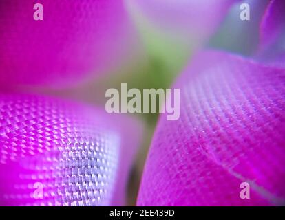 Difficile à croire, tulipes en plastique sur la façon dont ils apparaissent quand vous obtenez très près d'eux! Banque D'Images