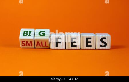 Symbole des frais, petits ou grands. Les cubes de bois ont été transformés en « petits frais » et en « grands frais ». Belle table orange, fond orange, espace de copie. Bus Banque D'Images