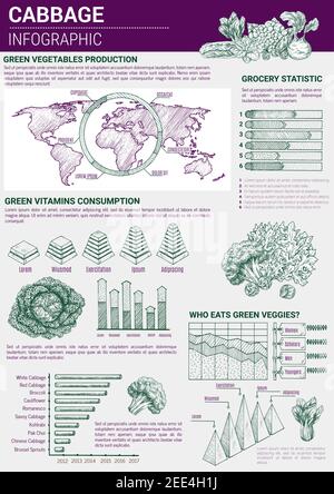 Infographie sur le schéma vectoriel des légumes du chou. Graphique et diagramme des éléments pour la production, la consommation de vitamines végétariennes et de wold carte végétarien consommateur Illustration de Vecteur