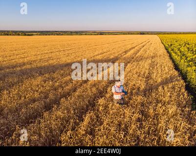 Vue aérienne d'un agriculteur se tenant dans un champ de blé mûr. La plantation d'un agronome mâle adulte prépare la récolte en saison à partir du point o Banque D'Images