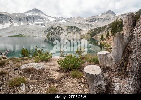 Des arbres ont été illégalement coupés à côté d'un lac de montagne dans les montagnes Wallowa, Oregon. Banque D'Images