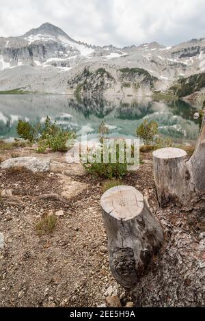 Des arbres ont été illégalement coupés à côté d'un lac de montagne dans les montagnes Wallowa, Oregon. Banque D'Images