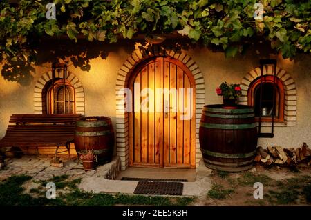 Entrée d'une cave à vin traditionnelle avec vigne sur le toit dans la région de Pálava dans une lumière chaude du soir - République tchèque, Europe Banque D'Images