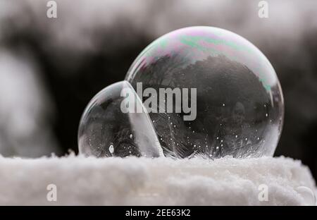 Deux bulles de savon congelées gèlent à basse température sous zéro sur la neige Banque D'Images