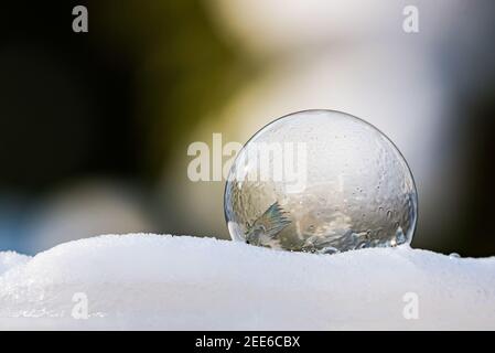 Une bulle de savon surgelée sur de la neige blanche avec un arrière-plan sombre Banque D'Images