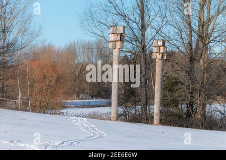 Deux tours avec plusieurs maisons d'oiseaux le jour de la saison d'hiver heure Banque D'Images