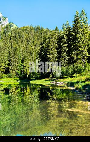 Paysage du lac Obersee dans les Alpes suisses Banque D'Images