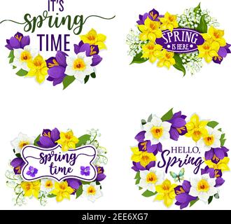Carte de vœux Hello Spring flowers pour les vacances de printemps. Bouquet de fleurs vectorielles de joncs de jonquilles ou de crocus, de narcisse ou de lis de valle Illustration de Vecteur