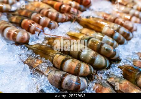 Monodon penaeus frais, crevettes tigrées géantes ou crevettes tigrées asiatiques au marché de rue en Thaïlande Banque D'Images