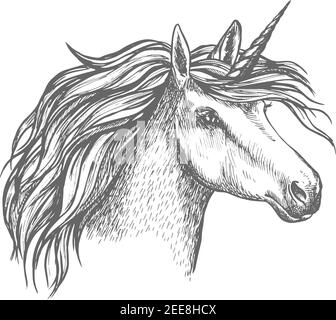 Esquisse de la tête UNICORN. Tête équine héraldique de cheval mythique, avec une longue corne et une manie ondulée. Symbole mythique isolé de cheval de fantaisie pour l'astrologie, juste Illustration de Vecteur