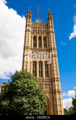 Palais de Westminster (chambres du Parlement) et devant des arbres à Londres, Royaume-Uni. Banque D'Images