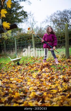 Une petite fille raking part un jour d'automne, Kent Banque D'Images