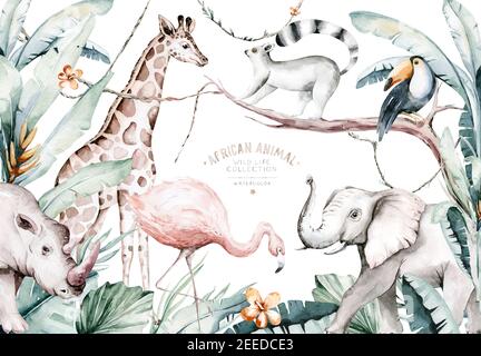 Illustration aquarelle des animaux africains : lémure, flamants et girafe, toucan et rhipo, rhinocéros et éléphant isolé sur fond blanc. Safari savann Banque D'Images