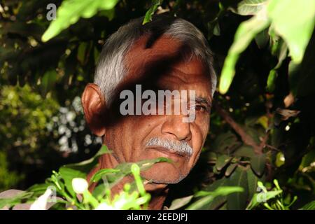 portrait de gros plan d'un homme ou d'un agriculteur indien âgé se tient dans le jardin et laisse une ombre sur le visage de l'agriculteur. inde-Asie Banque D'Images