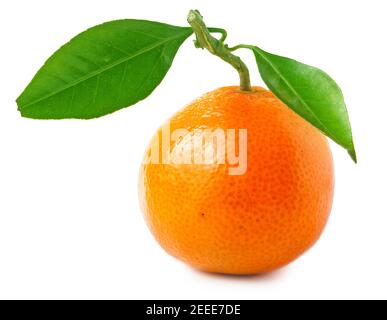 Mandarines avec feuilles vertes isolées sur fond blanc Banque D'Images