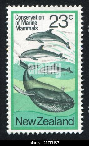 NOUVELLE-ZÉLANDE — VERS 1978: Timbre imprimé par la Nouvelle-Zélande, montre des baleines et des dauphins, vers 1978 Banque D'Images