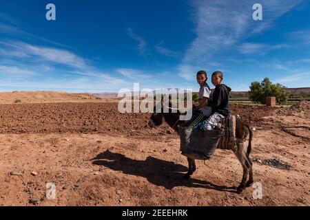 Draa-Tafilalet, Maroc - 14 avril 2016 : deux jeunes garçons avec un âne dans un champ agricole de la région de Draa-Tafilalet, avec les montagnes de l'Atlas Banque D'Images