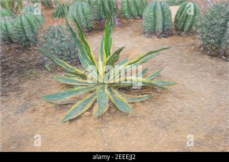 Illustration numérique de cactus verts sur sol sablonneux. Cactus Agave dans le sable du désert. Cactus verts à longue feuille. Sol aride et différentes plantes de cactus. Pric Banque D'Images