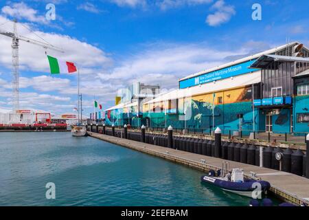 Un drapeau italien géant survole la base de l'équipe Luna Rossa à Auckland, en Nouvelle-Zélande, pendant la 36e course de yacht de la coupe de l'Amérique Banque D'Images