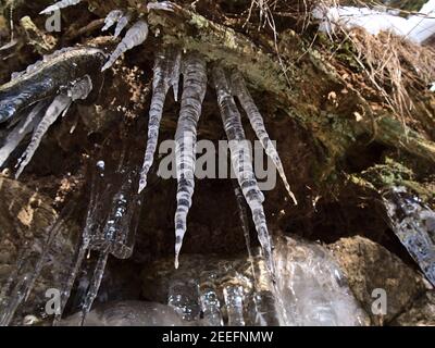 Vue à angle bas des glaces congelées qui pendent d'une pente avec des rochers et de l'herbe sèche en hiver à Todtnauer Wasserfälle près de Todtnau, Allemagne. Banque D'Images