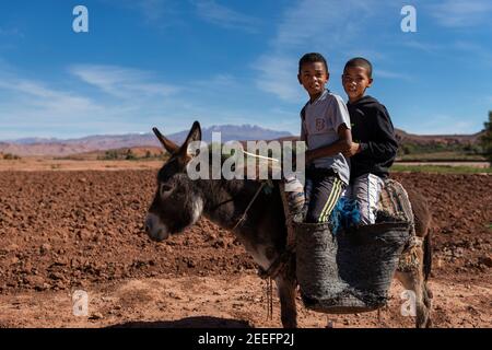 Draa-Tafilalet, Maroc - 14 avril 2016 : deux jeunes garçons avec un âne dans un champ agricole de la région de Draa-Tafilalet, avec les montagnes de l'Atlas Banque D'Images